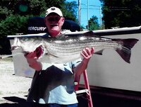 Austin  Alfred Pierson